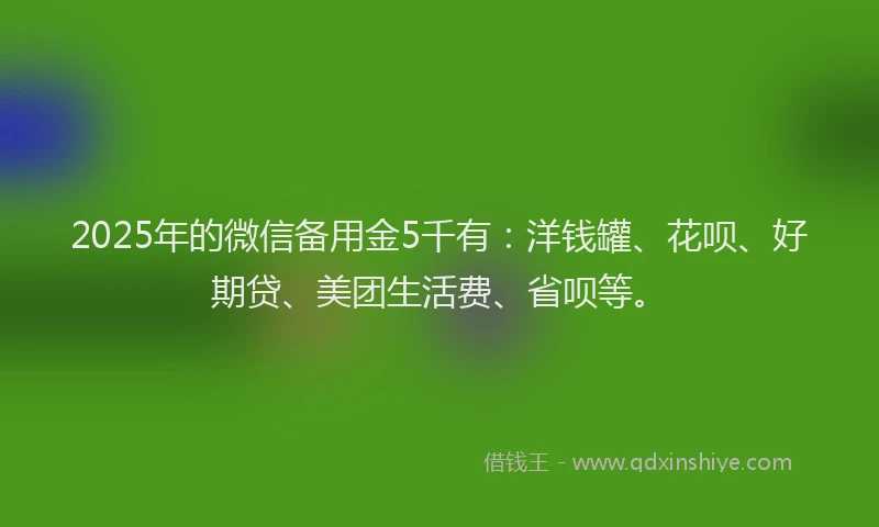2025年的微信备用金5千有：洋钱罐、花呗、好期贷、美团生活费、省呗等。