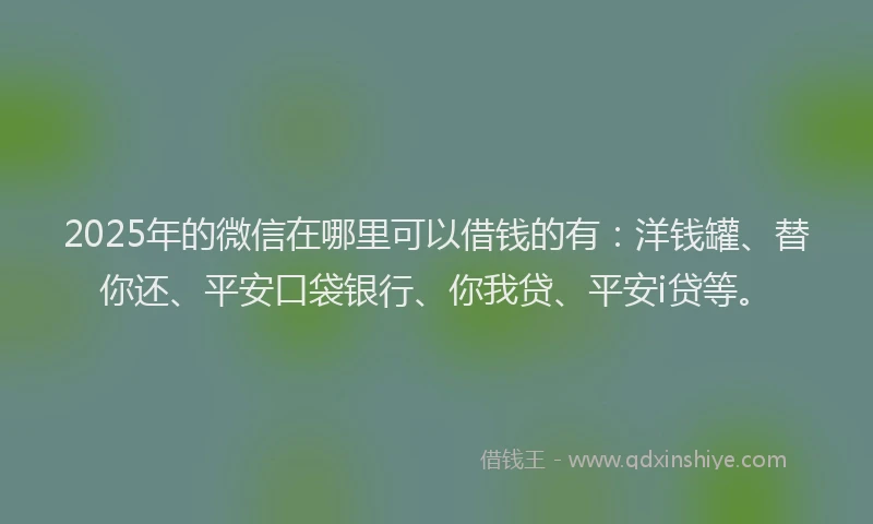 2025年的微信在哪里可以借钱的有：洋钱罐、替你还、平安口袋银行、你我贷、平安i贷等。