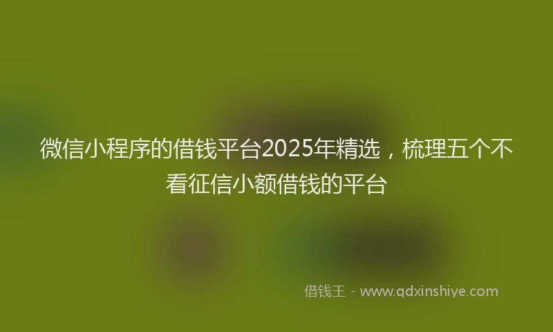 微信小程序的借钱平台2025年精选，梳理五个不看征信小额借钱的平台