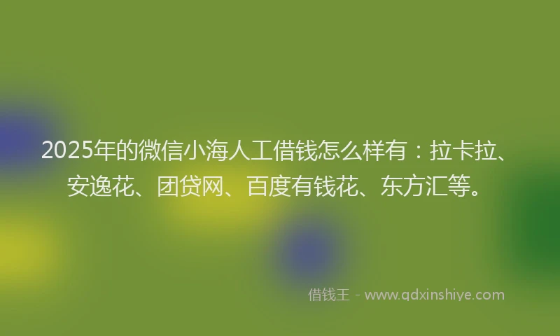 2025年的微信小海人工借钱怎么样有：拉卡拉、安逸花、团贷网、百度有钱花、东方汇等。
