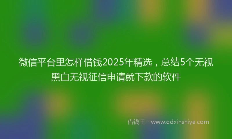 微信平台里怎样借钱2025年精选，总结5个无视黑白无视征信申请就下款的软件