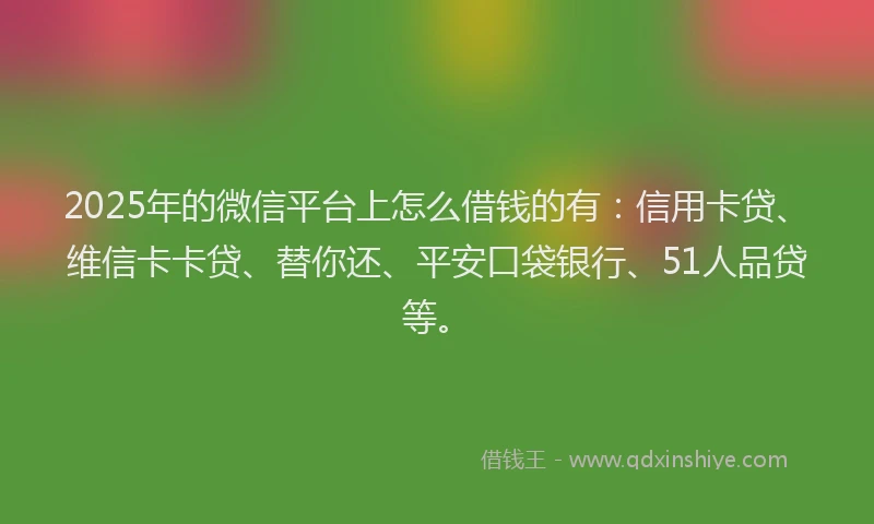 2025年的微信平台上怎么借钱的有：信用卡贷、维信卡卡贷、替你还、平安口袋银行、51人品贷等。