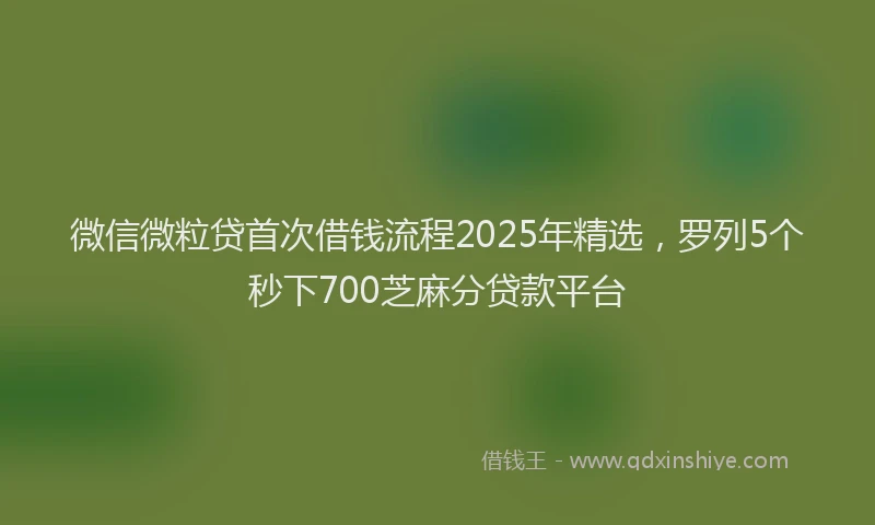 微信微粒贷首次借钱流程2025年精选，罗列5个秒下700芝麻分贷款平台