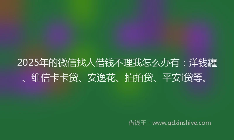 2025年的微信找人借钱不理我怎么办有：洋钱罐、维信卡卡贷、安逸花、拍拍贷、平安i贷等。
