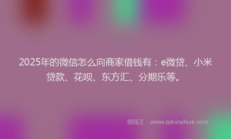2025年的微信怎么向商家借钱有：e微贷、小米贷款、花呗、东方汇、分期乐等。