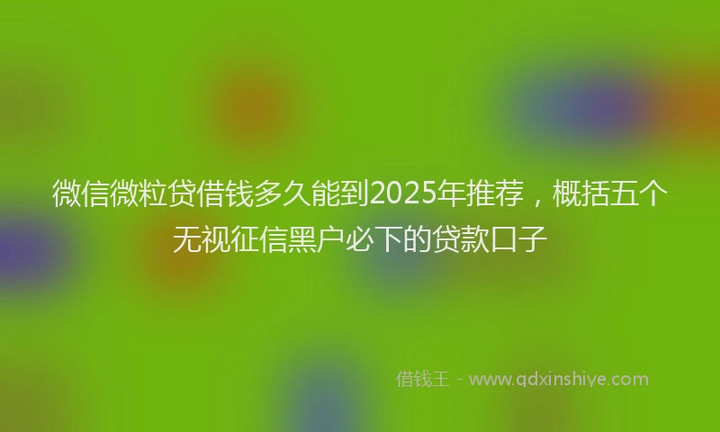 微信微粒贷借钱多久能到2025年推荐，概括五个无视征信黑户必下的贷款口子