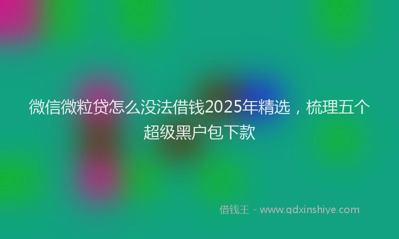 微信微粒贷怎么没法借钱2025年精选，梳理五个超级黑户包下款