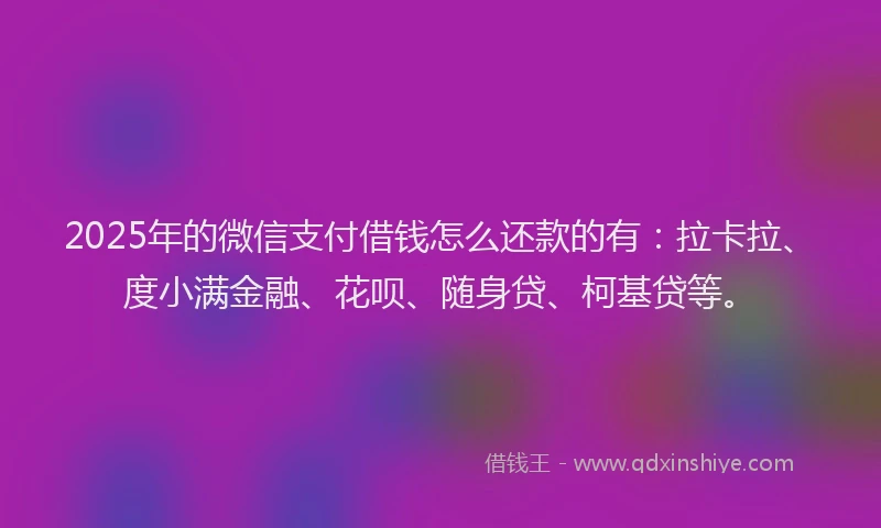2025年的微信支付借钱怎么还款的有：拉卡拉、度小满金融、花呗、随身贷、柯基贷等。