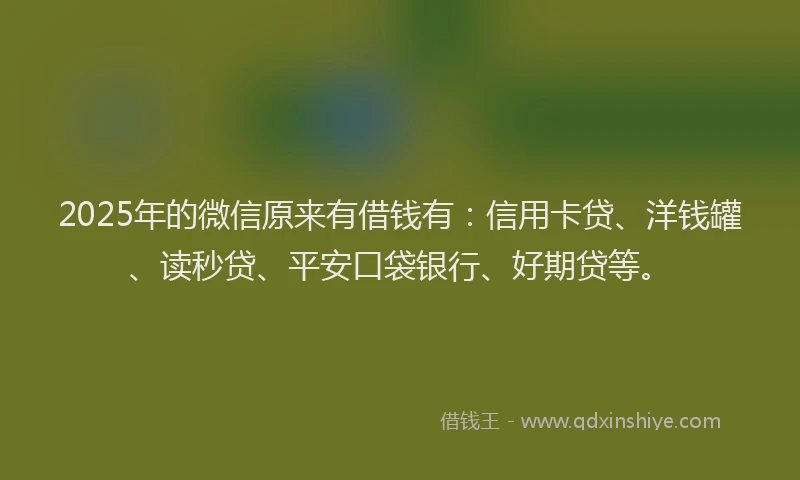 2025年的微信原来有借钱有：信用卡贷、洋钱罐、读秒贷、平安口袋银行、好期贷等。