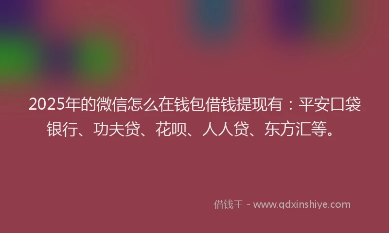 2025年的微信怎么在钱包借钱提现有：平安口袋银行、功夫贷、花呗、人人贷、东方汇等。