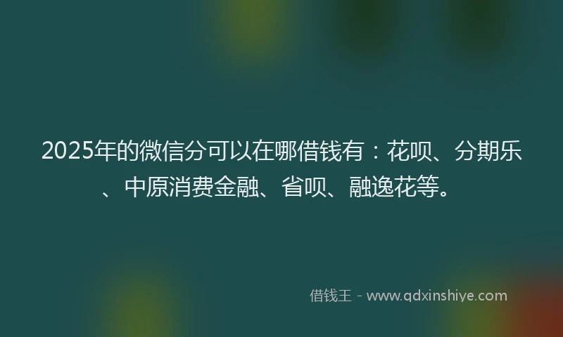 2025年的微信分可以在哪借钱有：花呗、分期乐、中原消费金融、省呗、融逸花等。
