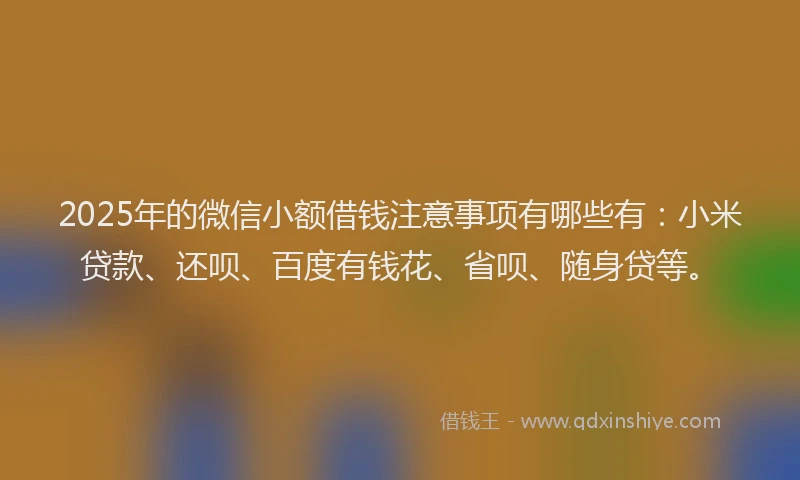 2025年的微信小额借钱注意事项有哪些有：小米贷款、还呗、百度有钱花、省呗、随身贷等。