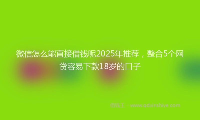微信怎么能直接借钱呢2025年推荐，整合5个网贷容易下款18岁的口子
