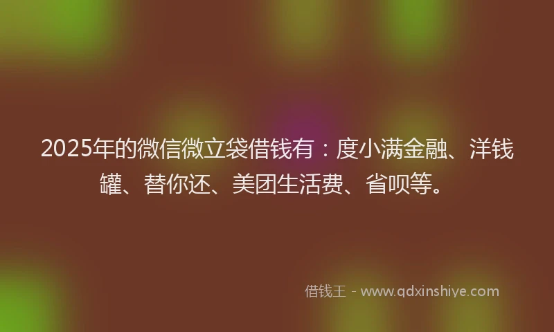 2025年的微信微立袋借钱有：度小满金融、洋钱罐、替你还、美团生活费、省呗等。