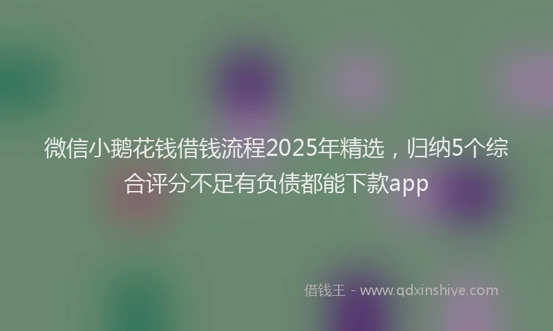 微信小鹅花钱借钱流程2025年精选，归纳5个综合评分不足有负债都能下款app
