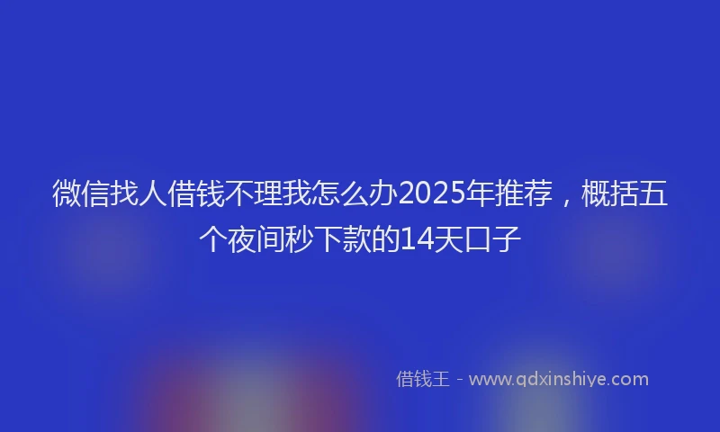 微信找人借钱不理我怎么办2025年推荐，概括五个夜间秒下款的14天口子