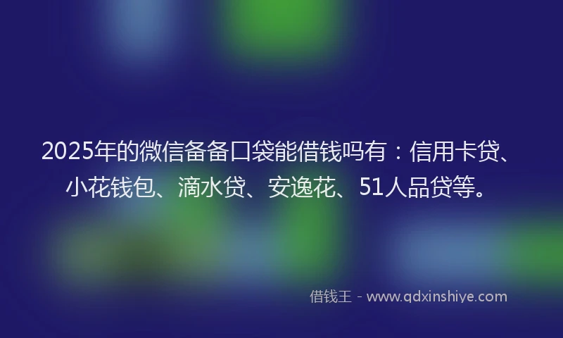 2025年的微信备备口袋能借钱吗有：信用卡贷、小花钱包、滴水贷、安逸花、51人品贷等。