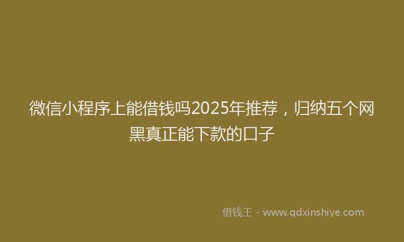 微信小程序上能借钱吗2025年推荐，归纳五个网黑真正能下款的口子