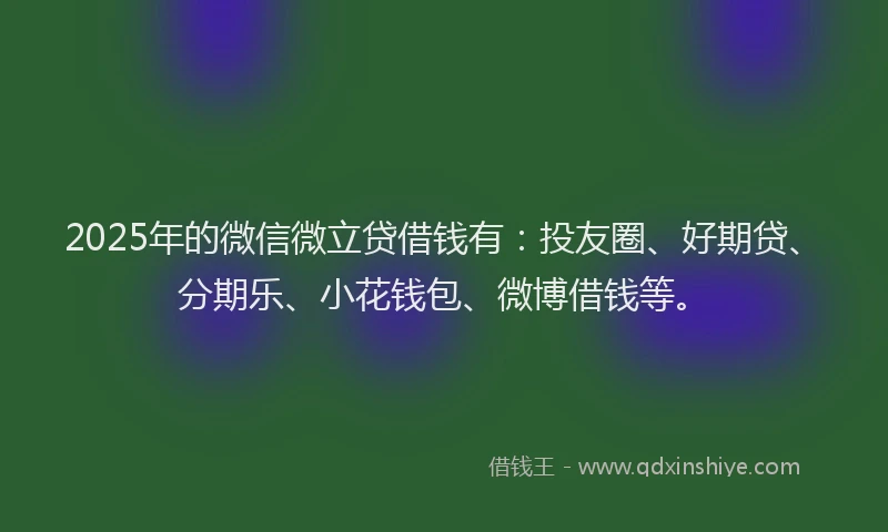 2025年的微信微立贷借钱有：投友圈、好期贷、分期乐、小花钱包、微博借钱等。