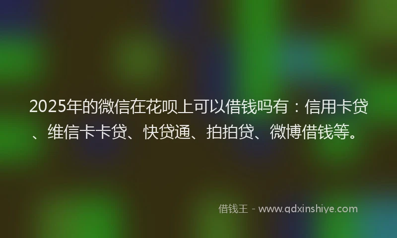 2025年的微信在花呗上可以借钱吗有：信用卡贷、维信卡卡贷、快贷通、拍拍贷、微博借钱等。