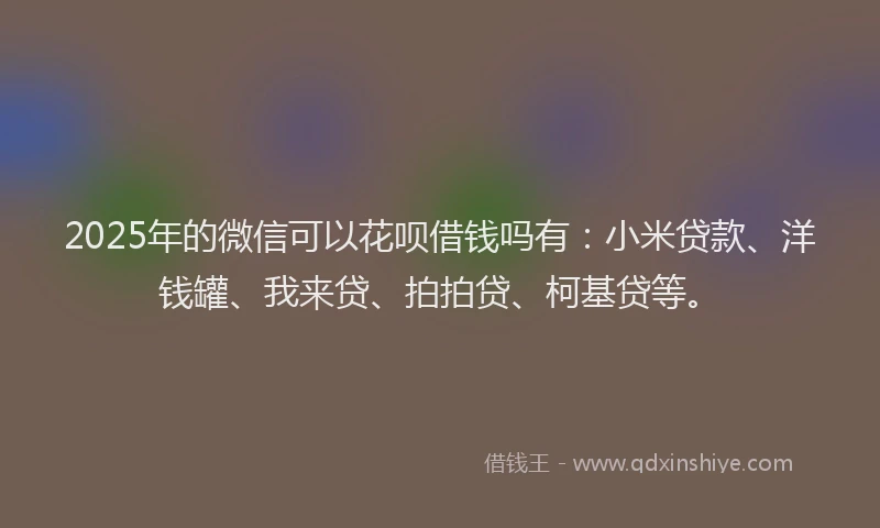 2025年的微信可以花呗借钱吗有：小米贷款、洋钱罐、我来贷、拍拍贷、柯基贷等。
