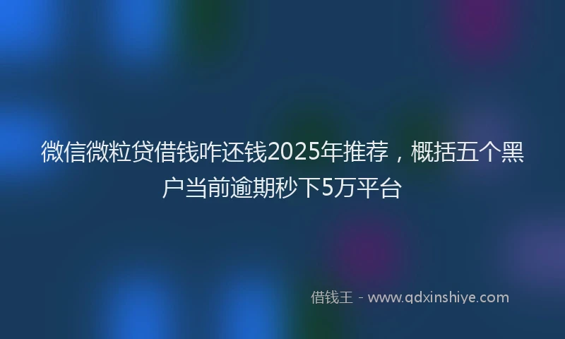 微信微粒贷借钱咋还钱2025年推荐，概括五个黑户当前逾期秒下5万平台