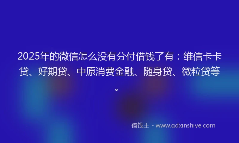 2025年的微信怎么没有分付借钱了有：维信卡卡贷、好期贷、中原消费金融、随身贷、微粒贷等。