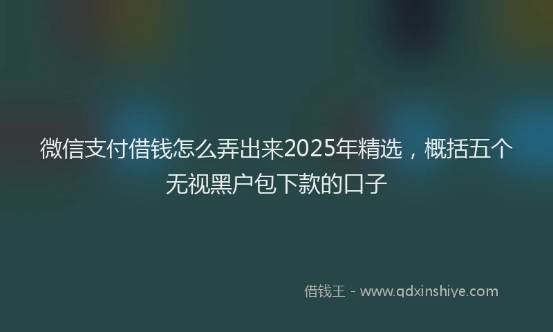 微信支付借钱怎么弄出来2025年精选，概括五个无视黑户包下款的口子