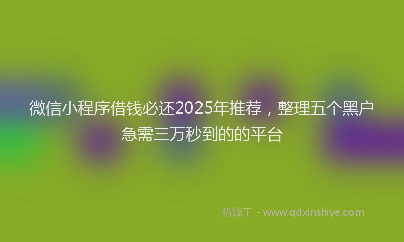 微信小程序借钱必还2025年推荐，整理五个黑户急需三万秒到的的平台