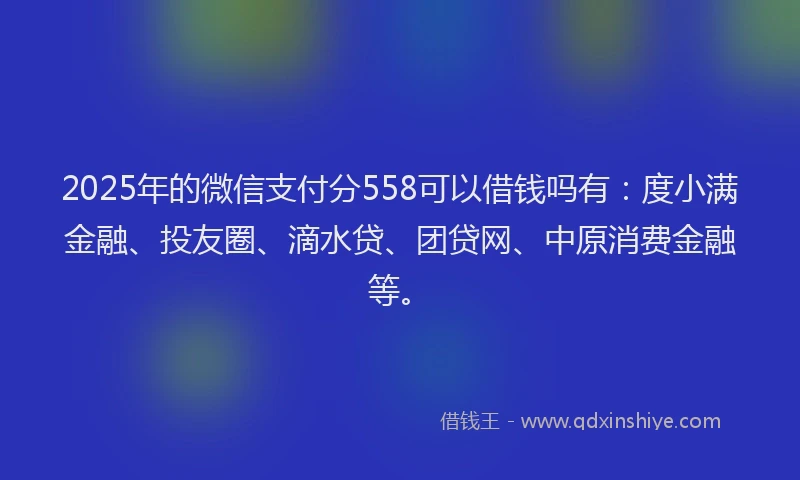 2025年的微信支付分558可以借钱吗有：度小满金融、投友圈、滴水贷、团贷网、中原消费金融等。