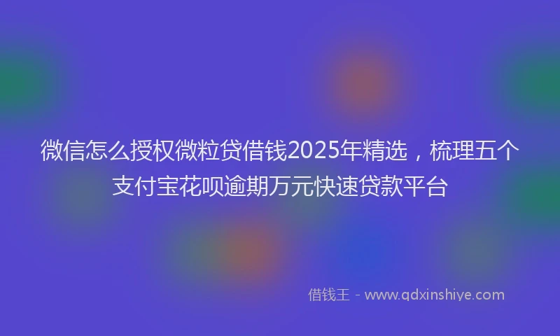 微信怎么授权微粒贷借钱2025年精选，梳理五个支付宝花呗逾期万元快速贷款平台