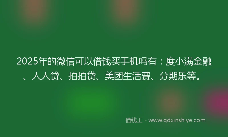 2025年的微信可以借钱买手机吗有：度小满金融、人人贷、拍拍贷、美团生活费、分期乐等。