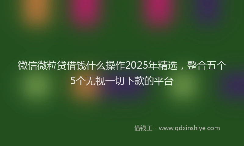 微信微粒贷借钱什么操作2025年精选，整合五个5个无视一切下款的平台