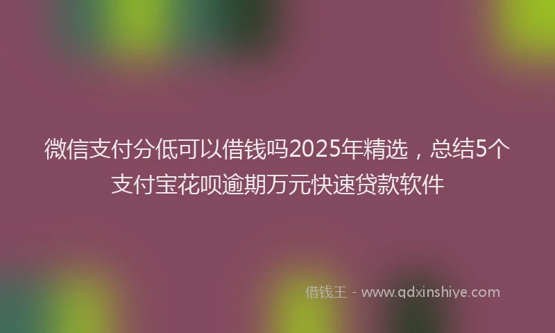 微信支付分低可以借钱吗2025年精选，总结5个支付宝花呗逾期万元快速贷款软件