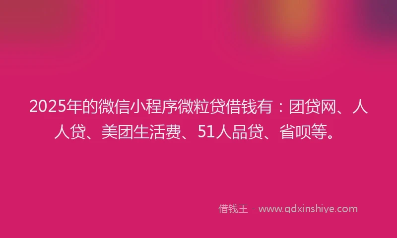 2025年的微信小程序微粒贷借钱有：团贷网、人人贷、美团生活费、51人品贷、省呗等。