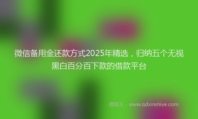 微信备用金还款方式2025年精选，归纳五个无视黑白百分百下款的借款平台