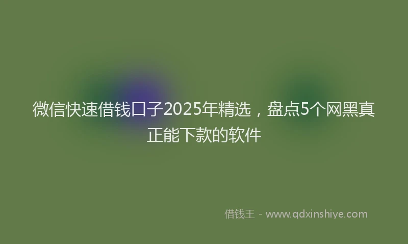 微信快速借钱口子2025年精选，盘点5个网黑真正能下款的软件