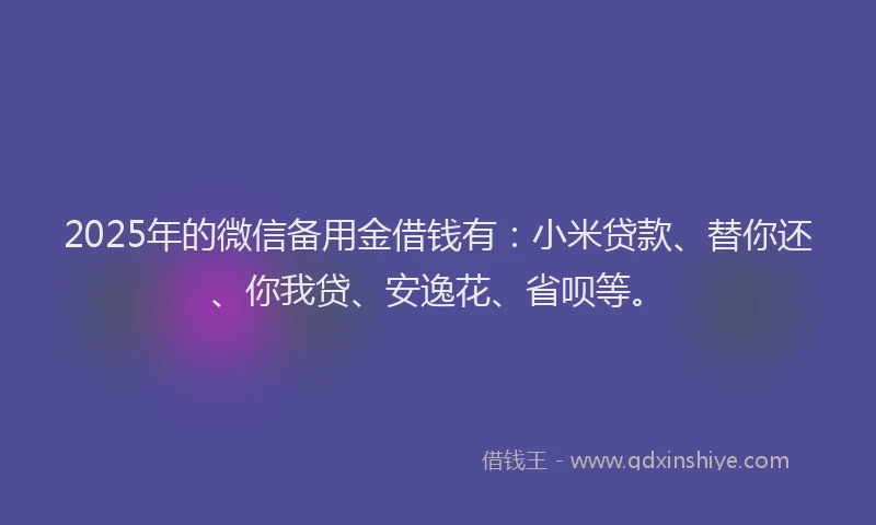 2025年的微信备用金借钱有：小米贷款、替你还、你我贷、安逸花、省呗等。