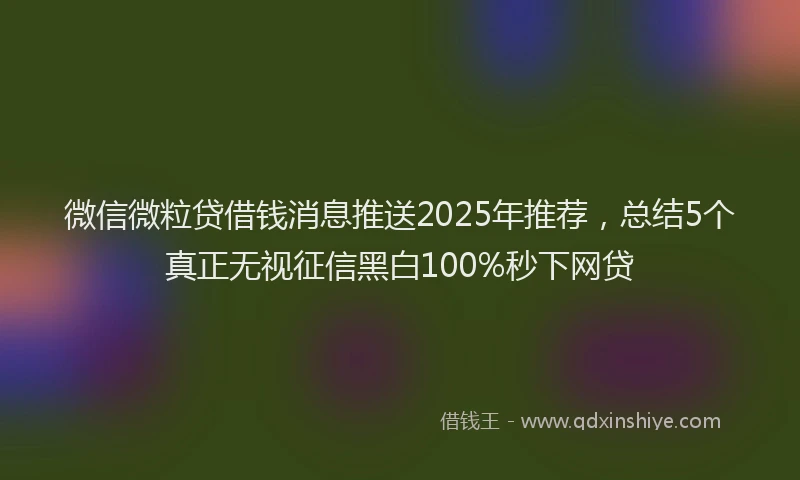 微信微粒贷借钱消息推送2025年推荐，总结5个真正无视征信黑白100%秒下网贷
