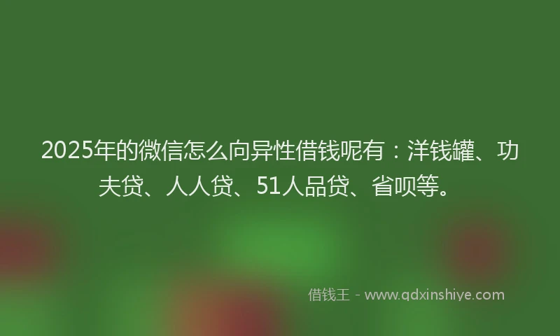 2025年的微信怎么向异性借钱呢有：洋钱罐、功夫贷、人人贷、51人品贷、省呗等。