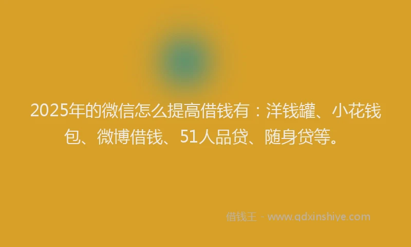 2025年的微信怎么提高借钱有：洋钱罐、小花钱包、微博借钱、51人品贷、随身贷等。