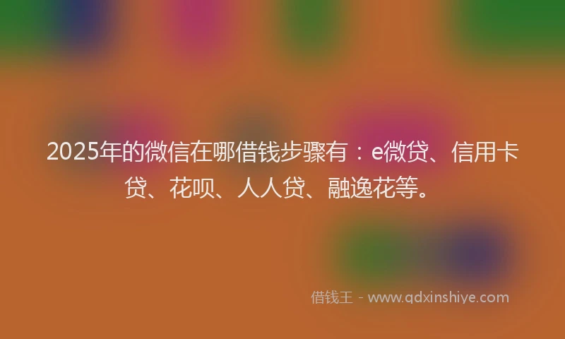 2025年的微信在哪借钱步骤有：e微贷、信用卡贷、花呗、人人贷、融逸花等。
