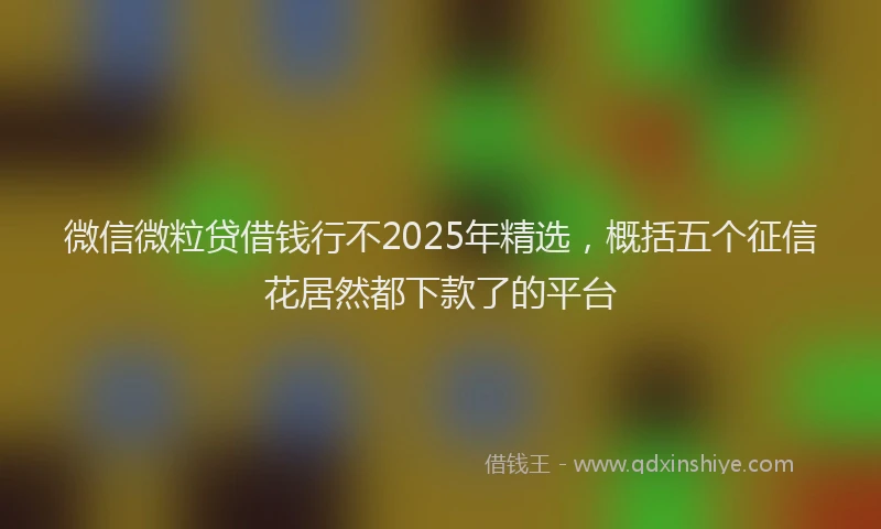 微信微粒贷借钱行不2025年精选，概括五个征信花居然都下款了的平台
