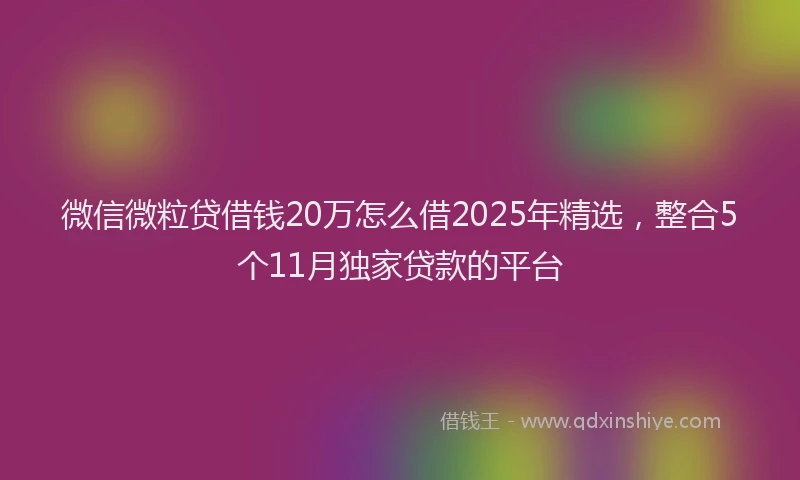 微信微粒贷借钱20万怎么借2025年精选，整合5个11月独家贷款的平台