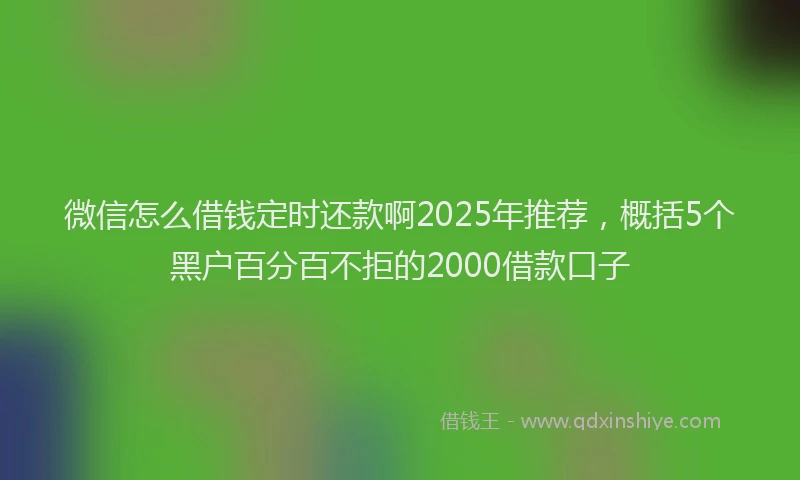 微信怎么借钱定时还款啊2025年推荐，概括5个黑户百分百不拒的2000借款口子