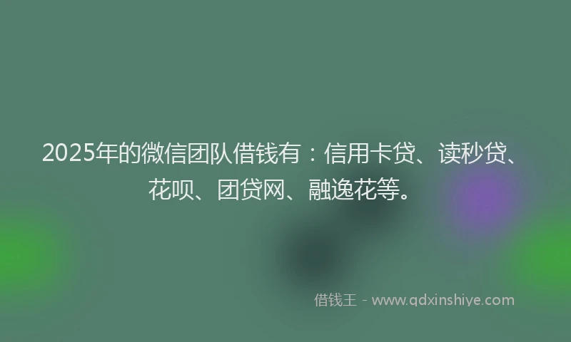 2025年的微信团队借钱有：信用卡贷、读秒贷、花呗、团贷网、融逸花等。