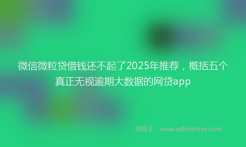 微信微粒贷借钱还不起了2025年推荐，概括五个真正无视逾期大数据的网贷app