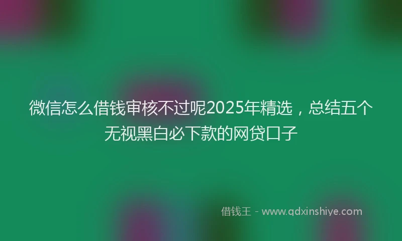 微信怎么借钱审核不过呢2025年精选，总结五个无视黑白必下款的网贷口子