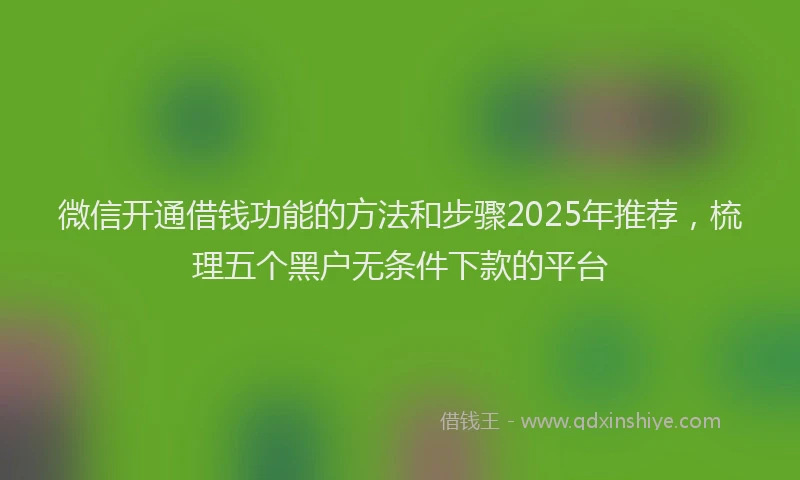 微信开通借钱功能的方法和步骤2025年推荐，梳理五个黑户无条件下款的平台
