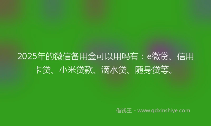 2025年的微信备用金可以用吗有：e微贷、信用卡贷、小米贷款、滴水贷、随身贷等。